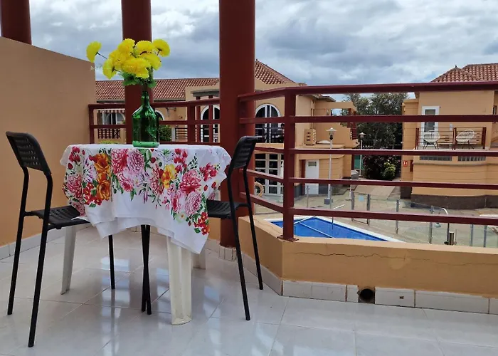 Story - Palmeral Oasis