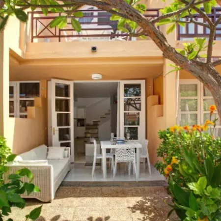 Story - Palmeral Oasis *