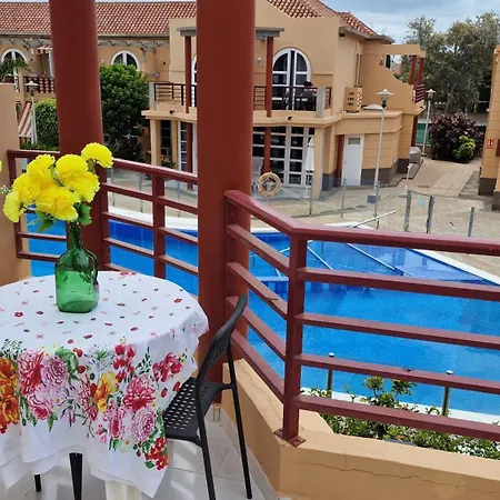 Story - Palmeral Oasis *