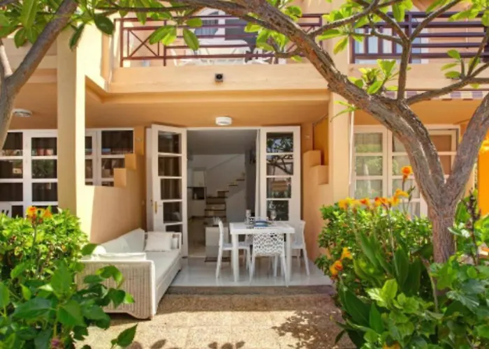 Story - Palmeral Oasis *
